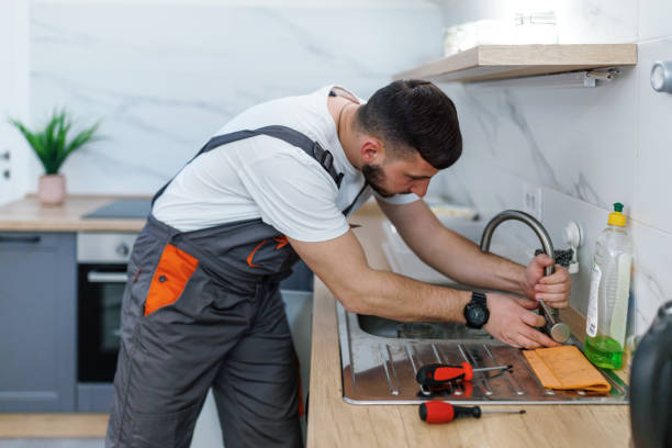 Best Local Plumber Services  in Edinburg, VA